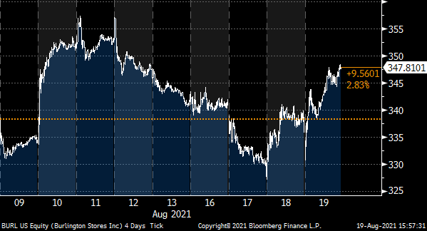 Always a Surge Stock… Even in a Down Market