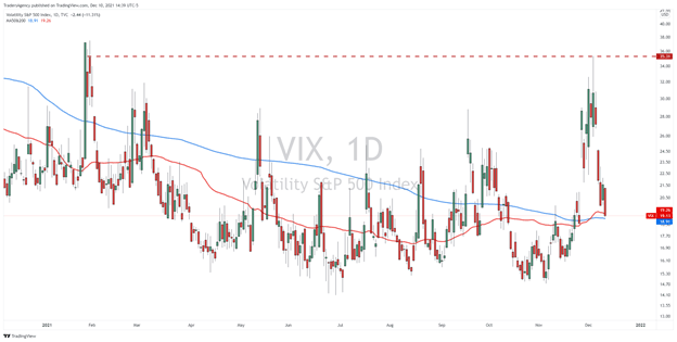 Bears In Hibernation as Bulls Fight Back