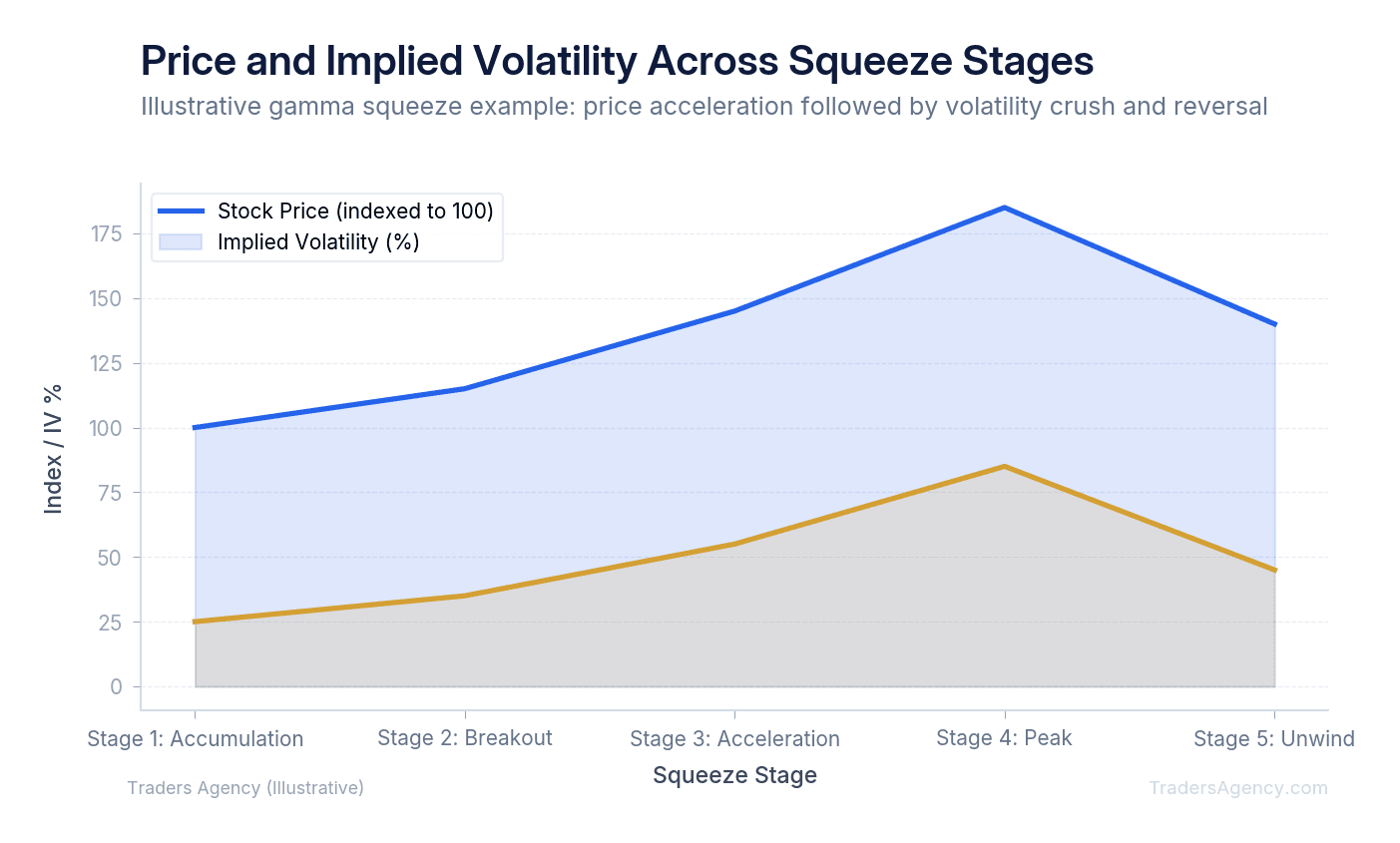 Area chart showing price acceleration through stages 1-3, peak volatility at stage 4, and collapse during stage 5 as gamma squeeze ends