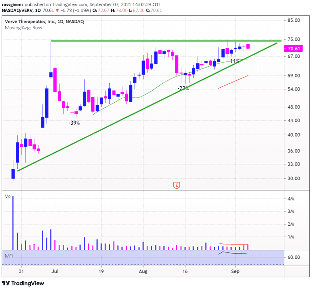How to Handle the Squat