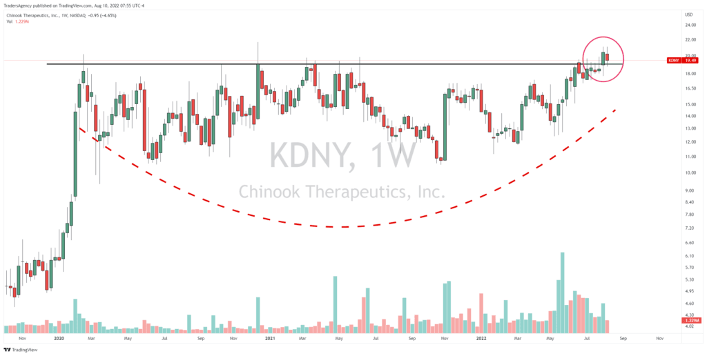 How We Traded the Breakout in Chinook Therapeutics Stock