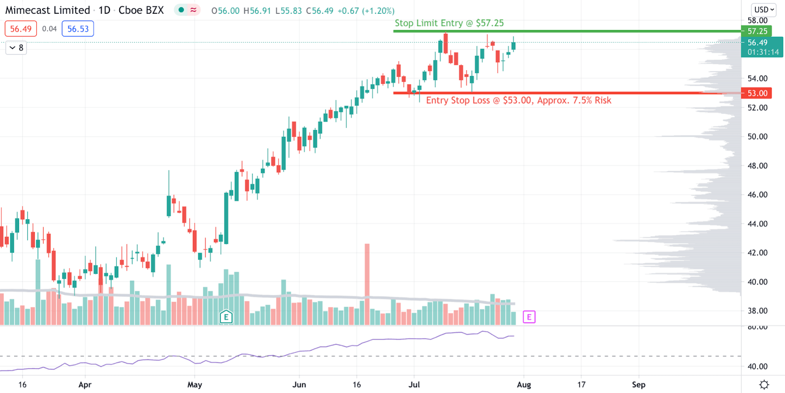 Ross Watchlist Week of Aug 2nd 2021